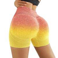 Spandex Shorts Sport Women