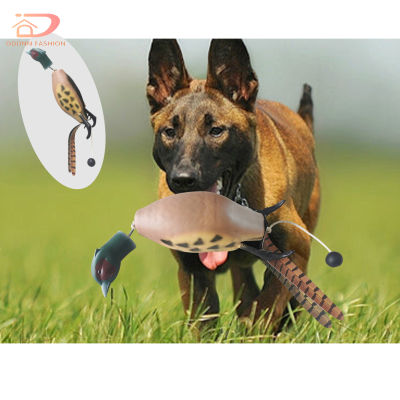 Mulipurposose สัตว์เลี้ยงที่ตายแล้ว Fetch ของเล่นสำหรับฝึกสุนัขกลางแจ้งในร่ม Essential ไก่ตายสำหรับฝึกซ้อม