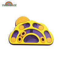 Slow Feeder Bowl With Non Slip Base Anti-Choking Bloat Stop Puzzle Bowl For Dogs Cats Rabbits Chinchillas Hamsters