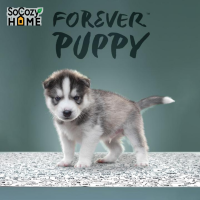 SoCozyHome Forever Puppy แผ่นรองซับ แผ่นซับน้ำ รองฉี่ ซักเครื่องได้ สีขาวดำ สำหรับสัตว์เลี้ยง แบบ 3 ชั้น