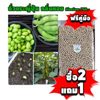 จัดโปร [ซื้อ2กก. แถม1กก. + ฟรีคู่มือ] เมล็ดพันธุ์ ถั่วแระญี่ปุ่น พันธุ์กลิ่นหอมใบเตย 1 กิโลกรัม 750 บาท Endamame ลดราคา ต้นไม้ เมล็ดพืช พรรณไม้  พรรณพืช