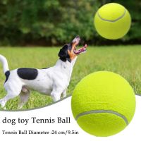 9.5 Inch Dog Tennis Outdoor Chew Training with Inflating