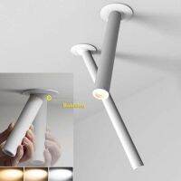 LED Track Light Slim Long cylinder Matt Cover Aluminium LED Hallway Coffee Shop Indoor Up and Down Light Rotation Spot L