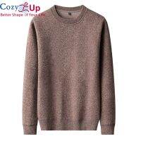 Cozy ใหม่แขนยาวเสื้อกันหนาวผู้ชายสีทึบบางคอกลมโพลีเอสเตอร์นุ่ม