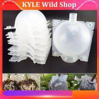 KYLE Wild Shop 8cm Plant Rooting Grow Box Breeding Case 5pcs High Pressure Gardening Plant Root Device Ball for Garden Grafting