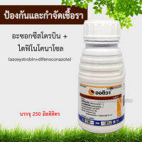 ออติวา 250cc อะซ็อกซีสโตรบิน+ไดฟีโนโคนาโซล  (Azoxystrobin + Difenoconazole) ออติว่า ป้องกันเชื้อโรคพืช ป้องกันเชื้อรา