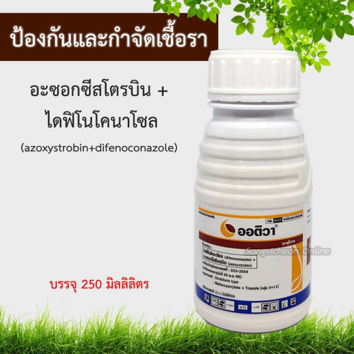 My Image 6