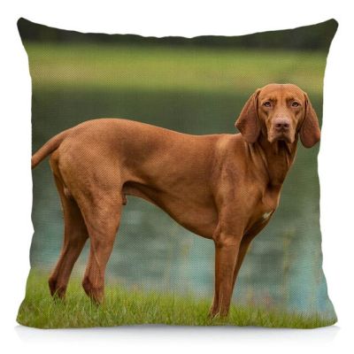 Xunyu Vizsla ปลอกหมอนสำหรับสุนัขเบาะสัตว์ปลอกหมอนตกแต่งสำหรับห้องนั่งเล่นขนาด45X45ซม. Gxk05