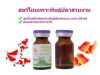 ฮอร์โมนเพาะพันธุ์ปลาสวยงาม และปลาคราฟ ขนาด 10 ml ฮอร์โมนเพาะพันธุ์ปลาทอง ฮอร์โมนเพาะพันธุ์ปลาสวยงาม ฮอร์โมนเพาะพันธุ์สัตว์น้ำ