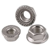 304 Stainless Steel Flange Nut 304 Stainless Steel Lock Nuts - Hex Flange Nut 1/2 - Aliexpress