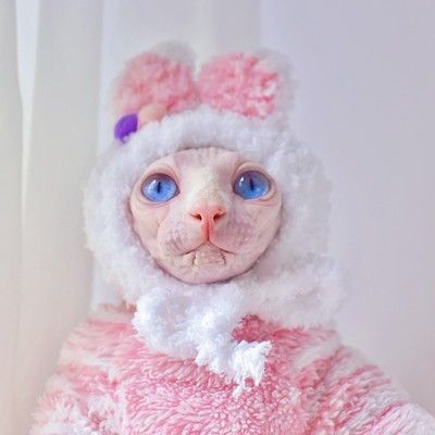 DUOMASUMI Pink Bunny Sytle Naked Cat Outfits Thicken Winter Coat for Sphynx Cat Kitty Cute Warm Hairless Bald Cat Clothes