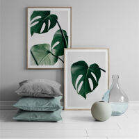 Nordic Monstera Wall Art ภาพวาดโปสเตอร์ภาพห้องนอน Frameless DecorNordic สไตล์ใบเต่าปลูกบ้านตกแต่งภาพวาดภาพวาดหลัก P344 P348