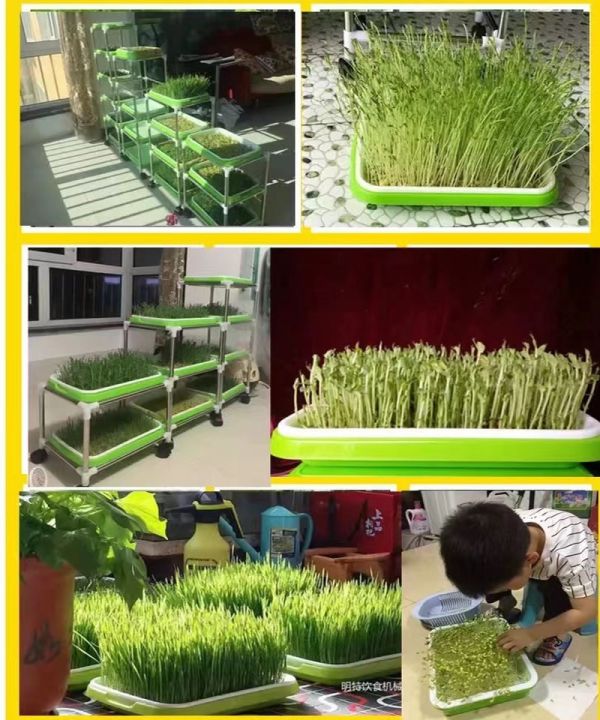 1-pcs-home-garden-nursery-pots-home-microgreen-soilless-hydroponics-seed-sprouter-grow-tray