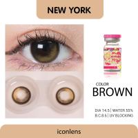 คอนแทคเลนส์ คิตตี้ คาวาอิ new york brown