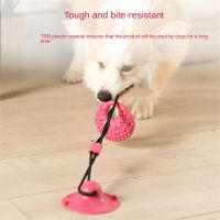 Dog Toys Silicon Suction Cup Tug Interactive Dog Ball Toy For Pet Chew Bite Tooth Cleaning Toothbrush Feeding Pet Supplies Pipe Fittings Accessories