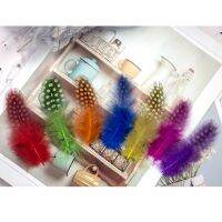 50PCS Guinea Fowl Feather 5-10cm for Crafts Jewelry Making Headdress Pheasant Plumes Wedding Decoration