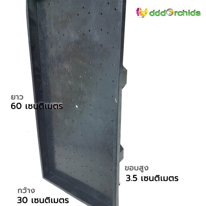 ถาดเพาะต้นอ่อน-10-ใบ-ขนาด-30-x-60-x-3-5-ซม-ร้าน-dddorchids