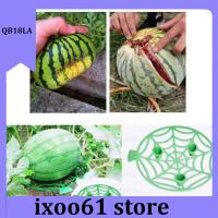 ixoo61 store 5pcs Watermelon Stand basket Frame Holder Plant Tray Fruit Support Rack Vegetables Gardening Stand Garden Tools