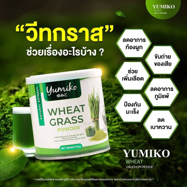 ยูมิโกะ-วีทกราส-พลัส-yumiko-wheat-grass-powder-ยูมิโกะ-วีทกราส-พลัส-ตรา-ยูมิโกะ-ปริมาณ-50-กรัม