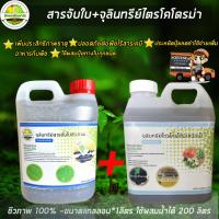 สารจับใบ+จุลินทรีย์ไตรโครโดม่าชุดแพ็คคู่กันเชื้อราป้องกันโรค