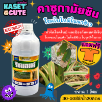 ? แถมฟรีเสื้อ 1 ตัว ริชมอนด์ (คาซูกาไมซิน) ใช้ป้องกันกำจัดโรคกาบใบแห้งในข้าว ที่มีสาเหตุจากเชื้อรา (1ลิตร)