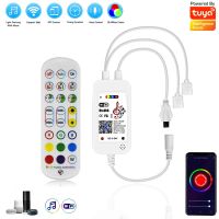 DC5V-24V TUYA Wifi LED RGB Controller Music Controller Double Output 24 Key IR Remote Controller For work with Alexa Google Home