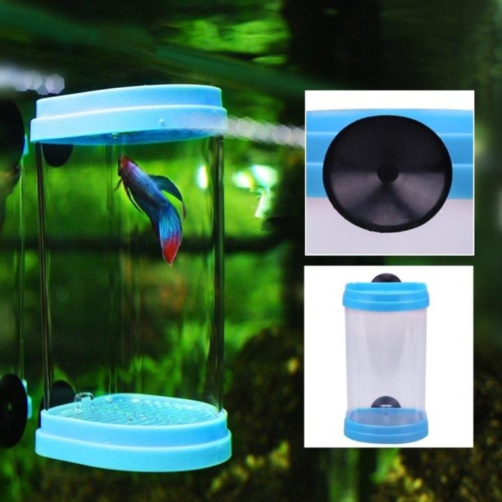 dophin-bt105-betta-tank-กล่องแยกเลี้ยงปลาสำหรับปลาที่ต้องการดูแลพิเศษ-ใส่ในตู้ปลาใหญ่