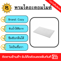 PS - Cozy พรมไดอะตอมไมต์ รุ่น DTMBM-GY ขนาด 40x60 ซม. สีเทา