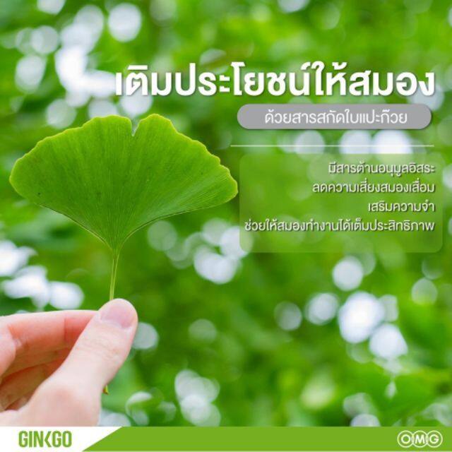 จิงโกล่า-กิฟฟารีน-แปะก๊วยแคปซูล-แปะก๊วย-แปะก๊วยสกัด-ginkola-ผลิตภัณฑ์เสริมอาหาร-สารสกัดจากใบแปะก๊วย