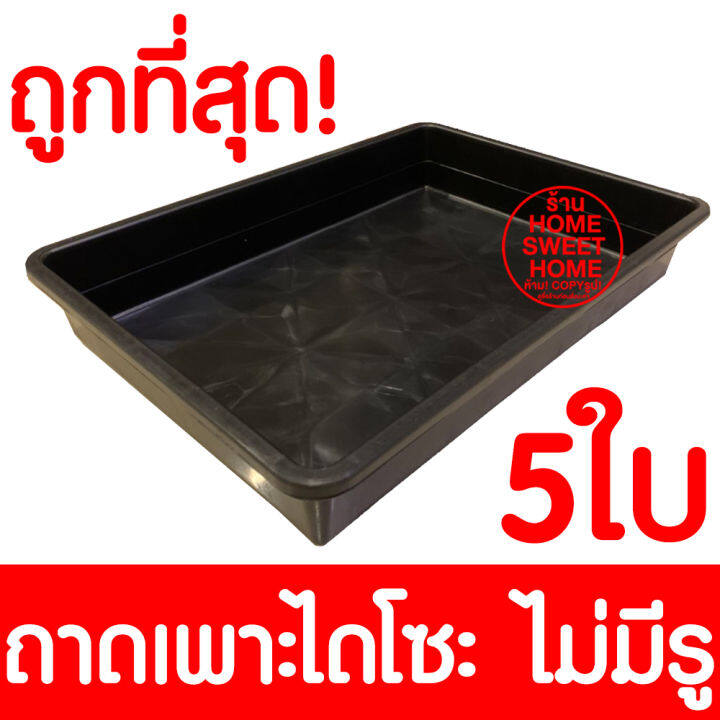 ถาดไดโซะ ไม่มีรู 5ใบ 50x36x8ซม ถาดเพาะไดโซะ ถาดเพาะ ถาดเพาะชำ ถาดเพาะต้นกระบองเพชร ถาดเพาะต้นอ่อน กระบองเพชร แคคตัส ตะกร้าปลูกผัก