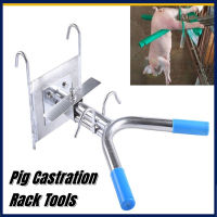 เครื่องมือแร็คตอนสุกร Double Hook Suspension สแตนเลสใช้งานง่ายสะดวก Pig Castration Frame