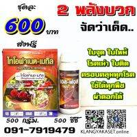 (promotion++) ไทโอฟาเนต 500 กรัม + เอสฟอส 500 ซีซี ใบจุด ใบไหม้ ใบส้ม ดอกสนิม ใบติด ครอบคลุม ยาเย็น ผ่าดอกได้ สุดคุ้มม ต้นไม้ ฟอก อากาศ กระถาง ต้นไม้ ไม้ ประดับ ต้นไม้ ปลูก ใน บ้าน