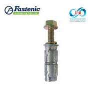 ปลั๊กดับเบิ้ล ( พุ๊กตะกั่ว) พร้อมชุดสกรูหัวแหวน ตรา FASTENIC