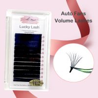 【cw】 Extension Fast Making Fans Volume Lashes Austomatic Flowering faux cils !