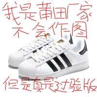 Putian  Gold Standard Pure Original Shell Head Couple Shoes Student Casual Sports Shoes White Shoes New Sports