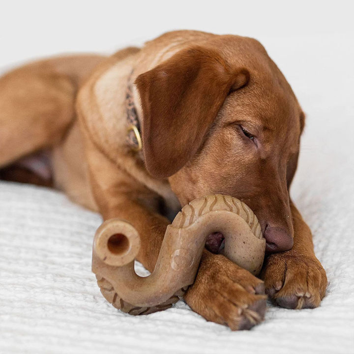 ของเล่นเชือกกัดสำหรับสุนัข-s-สุนัขสำหรับทั้งหมดประเภทของเล่นเชือกกัดสำหรับสุนัขดีไซน์โดดเด่น