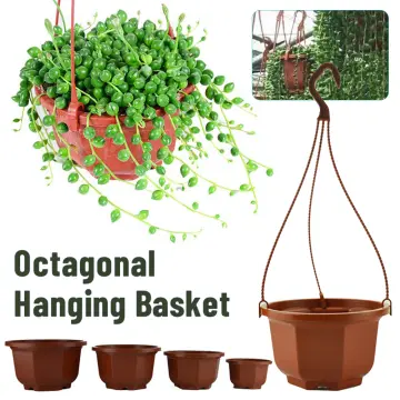 Hooks For Hanging Plant - Best Price in Singapore - Jan 2024