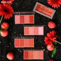 SIVANNA ADMIRATION PRO BLUSH MAKEUP STUDIO HF5022