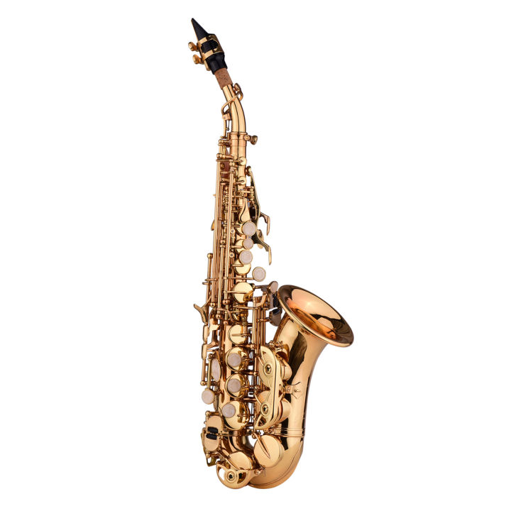 Alto Saxophone Compact Carrying Case