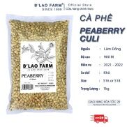 Cà phê nhân sống Culi B Lao Farm chà bóng ,sàng s18