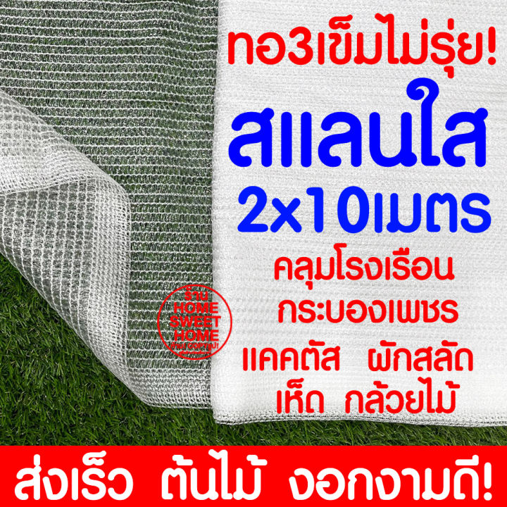 สแลนใส-สแลนสีใส-2x10เมตร-สแลนขาว-คลุมโรงเรือน-โรงเรือน-แคคตัส-เห็ด-กระบองเพชร-ผักสลัด-ตาข่ายกรองแสง-สแลนกรองแสง-พลาสติกโรงเรือน-โรงเรือน