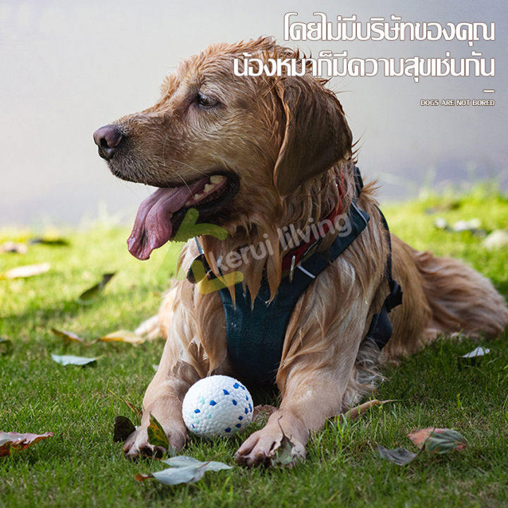 ลูกบอล-บอลยาง-ของเล่นหมา-dog-ball-toy-ของเล่นขัดฟัน-ลูกบอลยางกัด-บอลหมา-ของเล่นสุนัข-ของเล่นสัตว์เลี้ยง-ทนทานต่อการกัด-บอลโยนสุนัข-มี-2-ขนาด