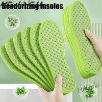 【hot sale】﹍✘ D18 1 Pair Fashion Versatile Men Green Sweat-Absorbent Women Foot Relaxation Sports Insole Breathable Comfortable Pain Relief Thickened Soft Soles Deodorizing Summer