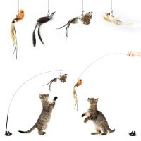 Suction Cup Simulation Bird Interactive Cat Toy Detachable Replacement Feather Bird for Kitten Teaser Play Chase Cat Stick Toys Toys