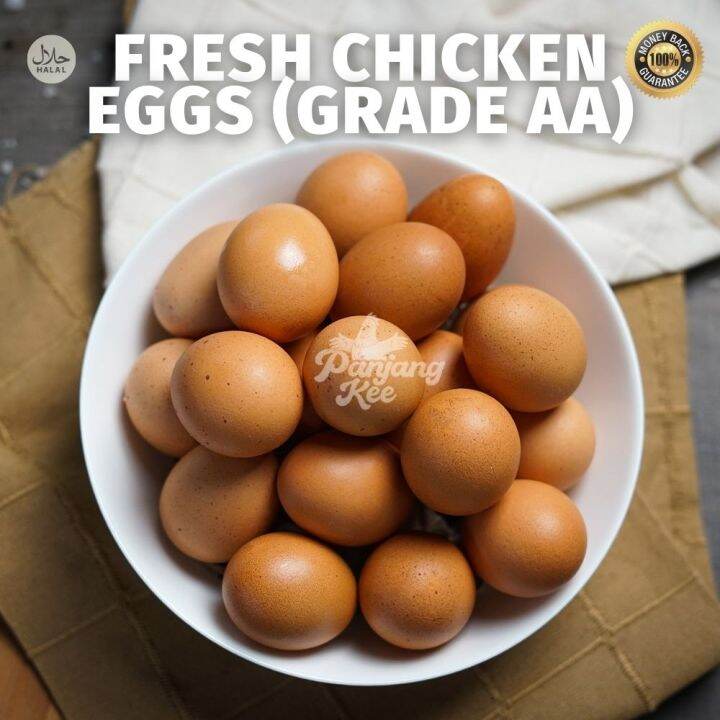 Fresh Grade AA Eggs (30 Eggs /tray) Lazada