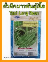 เมล็ดพันธุ์ ถั่วฝักยาว พันธุ์เนื้อ yard long bean ดูแลน้อย ต้นแข็งแรง ปลูกง่าย น้ำหนักดี ผลผลิตสูง ทนโรค