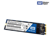 WD 1TB  BLUE SATA  SA510 M.2 2280-READ 560MB/S, WRITE 520MB/S, (WDSSD1TB-M.2-3D-5YEAR-SA510)