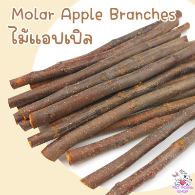 ไม้แอปเปิลลับฟัน สำหรับสัตว์ฟันแทะ 100g Molar Apple Branches