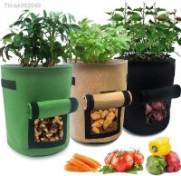 ❈✆❆ 5/7/10L Non-woven Plant Growth Bags Fabric Vegetable Planting Seedling Pots DIY Potato Grow Eco-Friendly Garden Tools