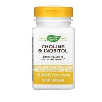 Natures Way, Choline &amp; Inositol 500 mg 100 Capules